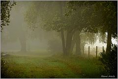 photo "***"