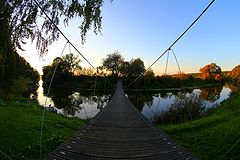 фото "на пути к успеху"