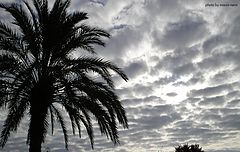 фото "clouds"
