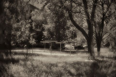 photo "***"