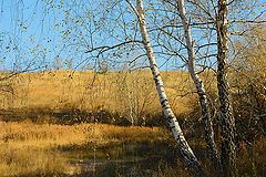 photo "***"