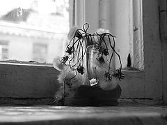 photo "***"