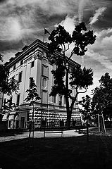 фото "Дворец и дерево"
