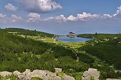 photo "***"