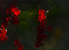 photo "***"