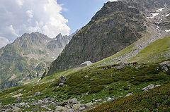 фото "Горными тропами."