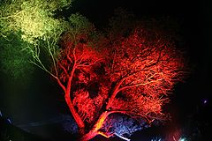 фото "***"