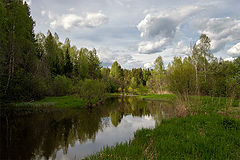 photo "***"