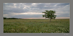 фото "Акварели лета ..."