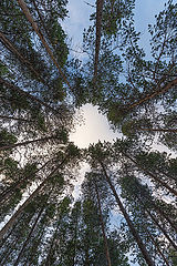 photo "From Karelia with love"
