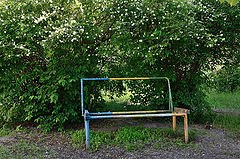 фото "***"