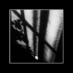 фото "И только ты одна"