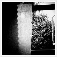 photo "***"