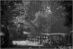 photo "***"