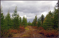 фото "Предосенняя 2"