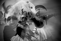 фото "Крик_1"
