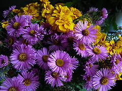photo "Autumn."