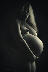 photo "кривицкий"