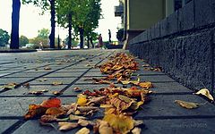 photo "***"