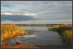 photo "Lake Timakova"
