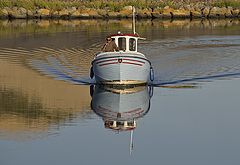 photo "Single Handed Sailor"