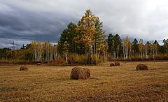фото "Уж небо осенью..."
