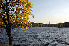photo "***"