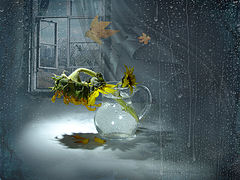 photo "***"