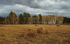 фото "Осеннее"