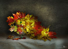 photo "***"