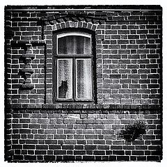 фото "Про кашпо"