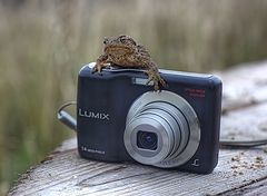photo "***"