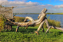фото "У берега"