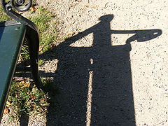фото "Shadow"