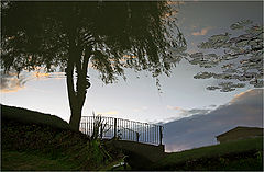 photo "***"