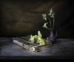 photo "***"