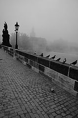 photo "Утренняя атмосфера-2"