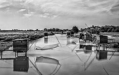 photo "pêche au carrelet"
