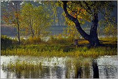 photo "***"