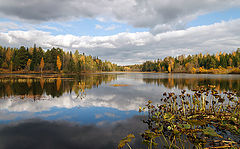 photo "***"