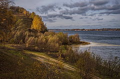 фото "Носит листья осень"