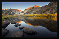 photo "***"