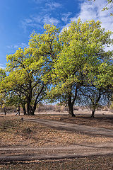 фото "Осенняя прогулка"