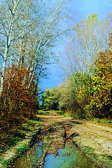 photo "***"