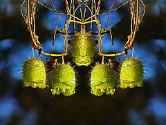 photo "The fixture in the lock."