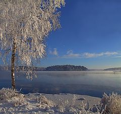 фото "Холодно..."