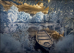 photo "..."