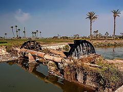 photo "Water wheels"