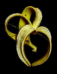фото "Curves"