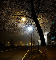 photo "***"